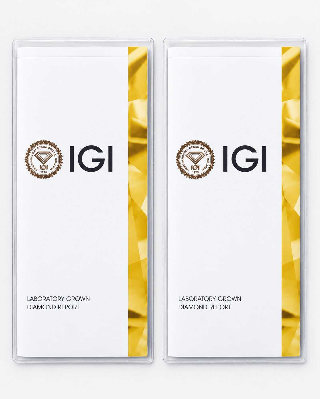 4 CTW Emerald-Cut Lab-Grown Diamond Leverback Earrings – 14K White Gold – IGI D/VS1